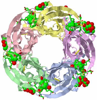 Image Asym./Biol. Unit - sites