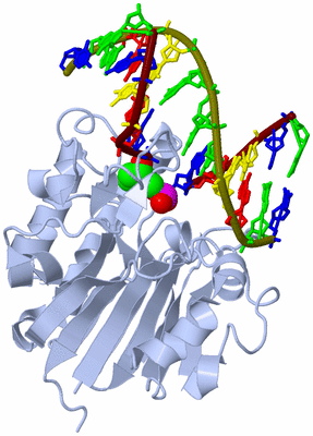 Image Biological Unit 1