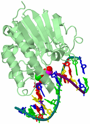 Image Biological Unit 2