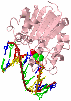 Image Biological Unit 3