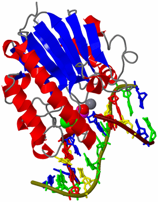 Image Asym./Biol. Unit