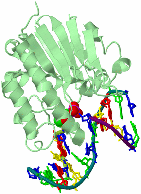 Image Biological Unit 2