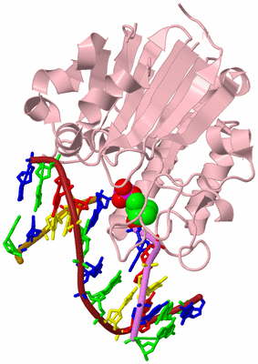 Image Biological Unit 3