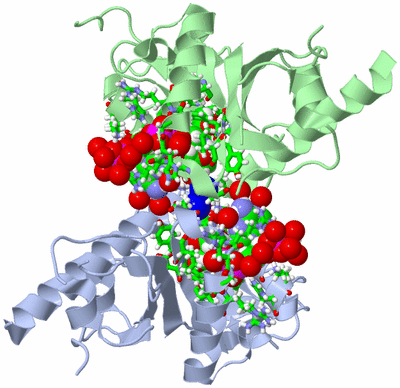 Image Asym./Biol. Unit - sites