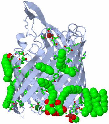 Image Biol. Unit 1 - sites