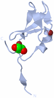 Image Biological Unit 1