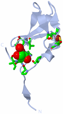 Image Biol. Unit 1 - sites