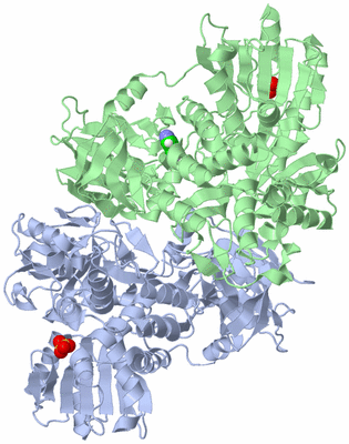 Image Asym./Biol. Unit