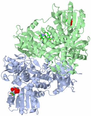 Image Asym./Biol. Unit - sites