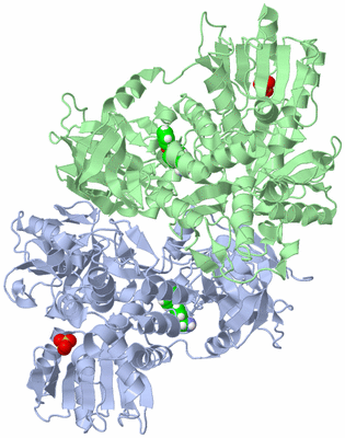 Image Asym./Biol. Unit