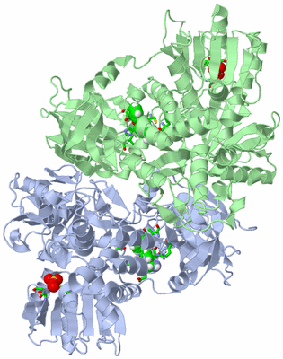 Image Asym./Biol. Unit - sites