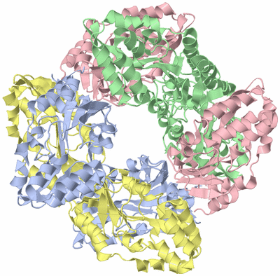 Image Biological Unit 1