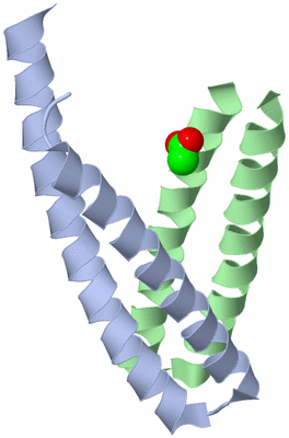 Image Asymmetric Unit