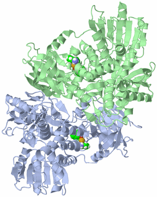 Image Asym./Biol. Unit