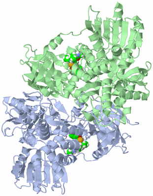 Image Asym./Biol. Unit