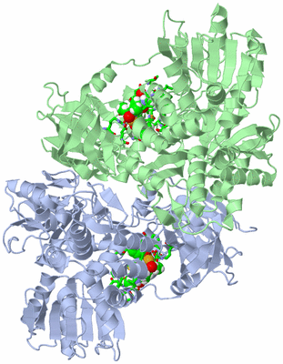 Image Asym./Biol. Unit - sites