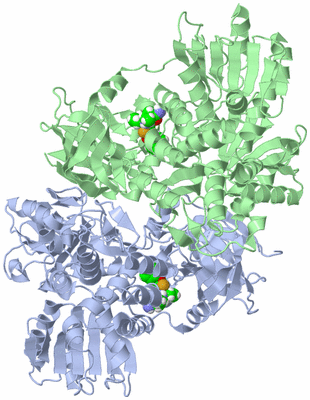 Image Asym./Biol. Unit