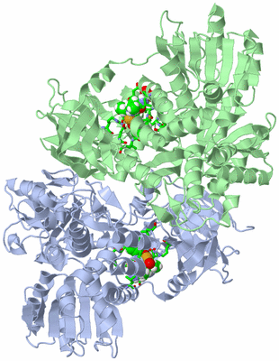 Image Asym./Biol. Unit - sites