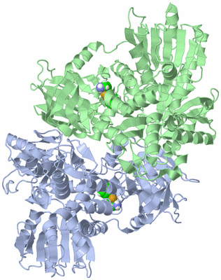 Image Asym./Biol. Unit