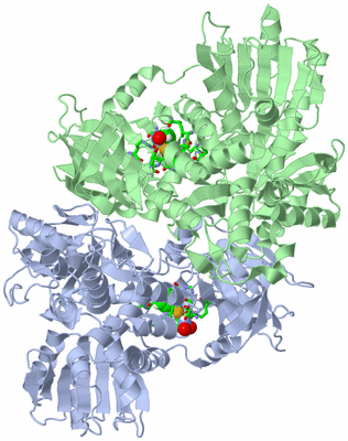 Image Asym./Biol. Unit - sites