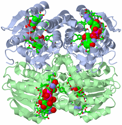 Image Biol. Unit 1 - sites