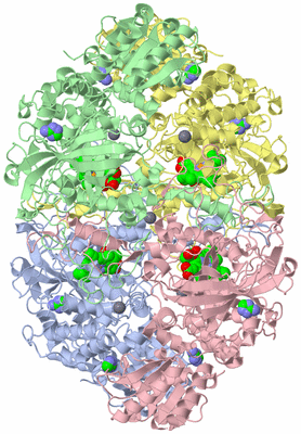 Image Asym./Biol. Unit