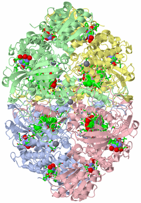 Image Asym./Biol. Unit - sites