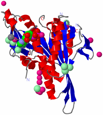 Image Asym./Biol. Unit