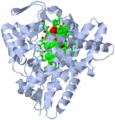 Image Biol. Unit 1 - sites