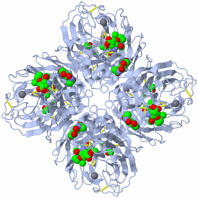 Image Biological Unit 1