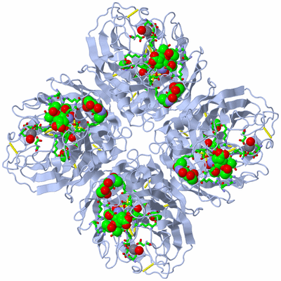 Image Biol. Unit 1 - sites