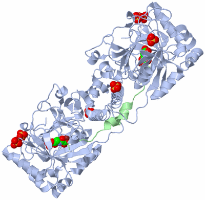 Image Biological Unit 1