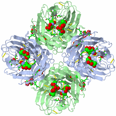 Image Biol. Unit 1 - sites