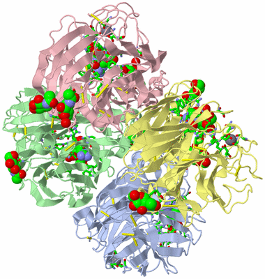 Image Asym./Biol. Unit - sites