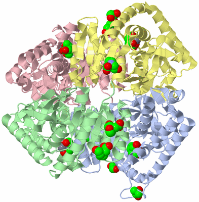 Image Asym./Biol. Unit