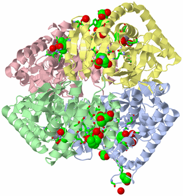 Image Asym./Biol. Unit - sites