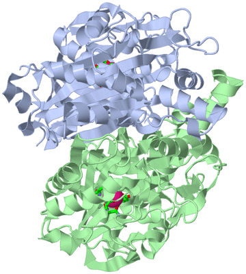 Image Asym./Biol. Unit - sites