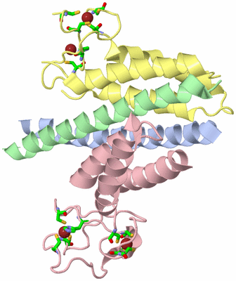 Image Asym./Biol. Unit - sites