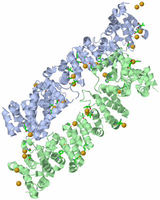 Image Asym./Biol. Unit - sites