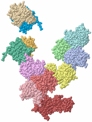 Image Asym./Biol. Unit