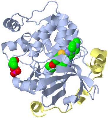 Image Biological Unit 1