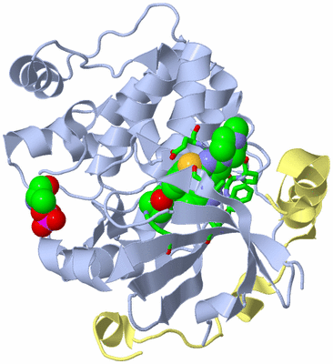 Image Biol. Unit 1 - sites