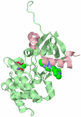 Image Biological Unit 2