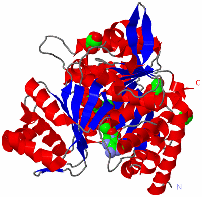 Image Asym./Biol. Unit