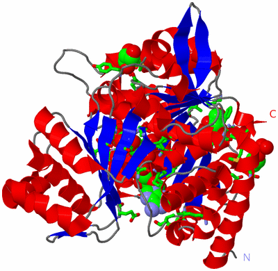 Image Asym./Biol. Unit - sites