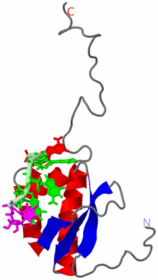 Image NMR Structure - model 1