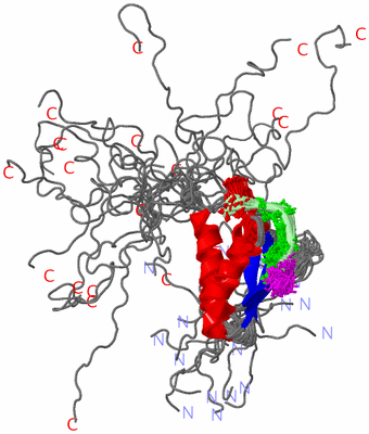 Image NMR Structure - all models