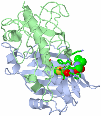 Image Biol. Unit 1 - sites