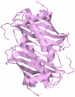 Image Biological Unit 3