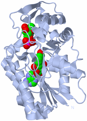 Image Biological Unit 1